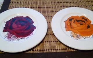 2kpl ruusukuvioisia lautasia