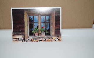postikortti ikkuna puu