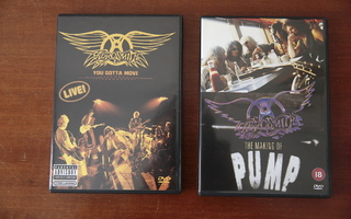 Aerosmith You gotta move ja The Making of Pump DVD