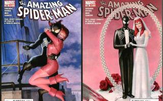 The Amazing Spider-Man #638-639 (One Moment in Time 1-4)