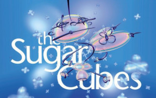 THE SUGARCUBES: The Great Crossover Potential - A Collect CD