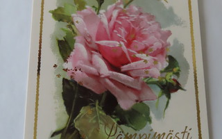 Lämpimästi Onnitellen - Pinkki ruusu