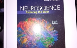 Kluwer :  Neuroscience -  exploring the brain (  SIS POSTIKU