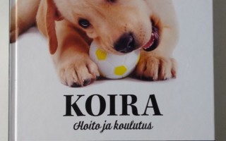 Koira, Nina Mäki-Kihniä 2017 1.p