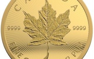 Kultakolikko Maple Leaf 1 grammaa