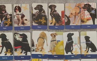 Koira tulli keräilykortit (2009 tai 2011)