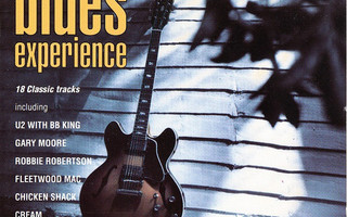 The Blues Experience (CD) Gary Moore U2 BB King Santana