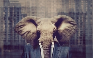 Happoradio : Elefantti -cd