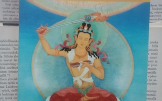 Sangharakshita - Timanttisutra ja buddhalainen...(nid.)