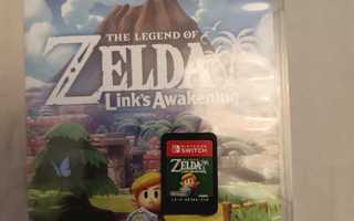 The Legend of Zelda Link's Awakening Switch
