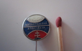 Slovenska basketbalova asociacia rintaneula
