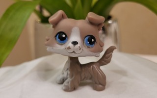 LPS Collie  # 67