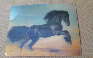 Hevonen hologrammikortti