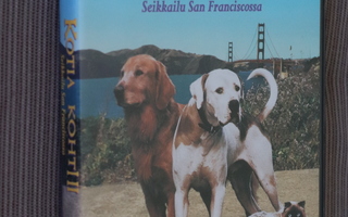 DVD Kotia kohti II Seikkailu San Franciscossa (1996 Disney)