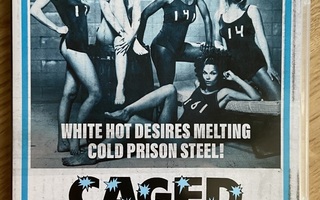 Caged Heat blu-ray