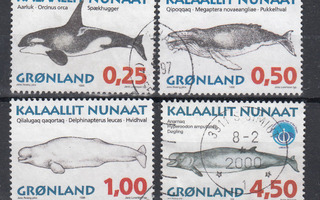 GRÖNLANTI valaita 1996
