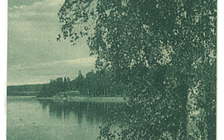 HÄMEENLINNA. Rantanäkymä, vanha kortti, - 1914