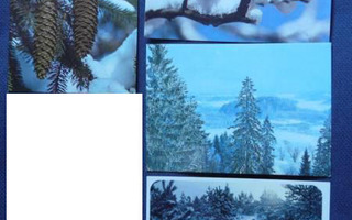 Talvimaisemat: lumiset puut, kävyt, talo 5 kpl. #501