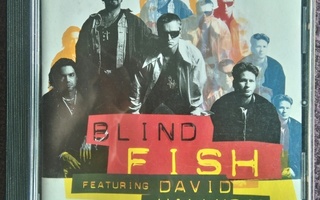 Blind Fish featuring David Hallyday - 2000 bbf