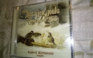 CD KALEVI KIVINIEMI : LINTUJEN JOULU ( SIS POSTIKULU  )