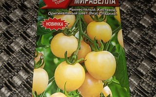 Tomaatti "Mirabella" 10+ siementä