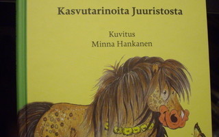 Hintikainen: Puutarhaponi Rimmruu (2016) Sis.postikulut