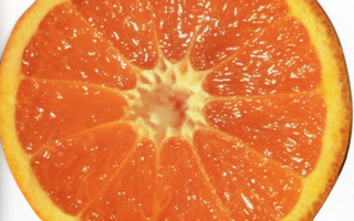 Appelsiini (isokok. muotoonleikattu kortti)
