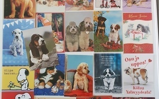 19 kpl koira aiheisia postikortteja