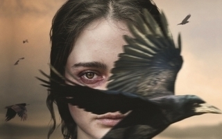 The Nightingale  -   (Blu-ray)