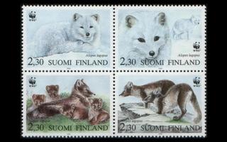 1195-8n ** WWF Naaleja neliö (1993)