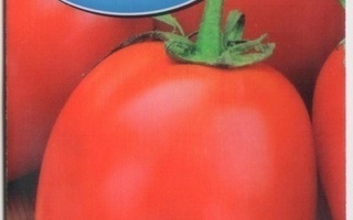 Tomaatti siemenet - Frodo