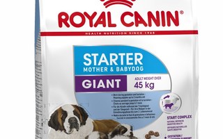 Royal Canin Giant Starter Mother