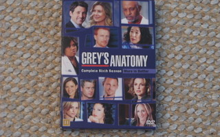 Greys anatomy 6-season 6-leyä
