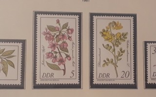 DDR 1981 - Puiden kukkia (6)  ++