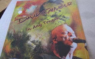 David Gilmour In any tongue lp muoveissa