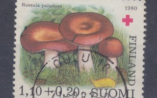 Pr 1980 1,1 mk. loistoleimalla.