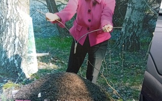 Tiina Lindholm ( toim.) : Varputaito  ( SIS POSTIKULU  )