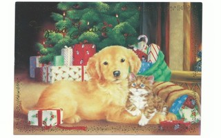 Koira ja Kissa lahjojen keskellä.