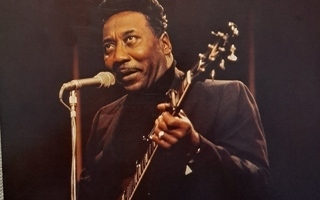 MUDDY WATERS: SWEET HOME CHICAGO  LP