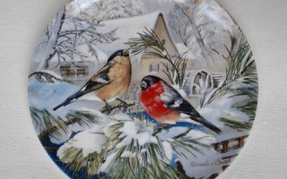 SEINÄLAUTANEN Linnut talvella PUNATULKKUPARI Hutschenreuther