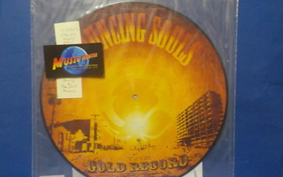 THE BOUNCING SOULS - THE GOLD RECORD EX-/ U.S 2017 LP