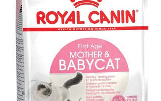 Royal Canin Mother