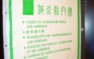 CHARTS OF ACUPUNCTURE - POINTS AND MERIDIANS ( SIS.PK )