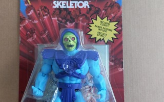 Masters of the Univese Origins - Skeletor