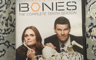 Bones kausi 10 DVD boksi