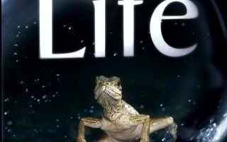 LIFE (BBC EARTH, 4 DVD)	(32 545)	-FI-	DVD	(4)		4 dvd=9h 49mi