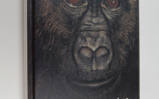 Dawn Prince-Hughes : Gorillan kosketus : matkani läpi aut...