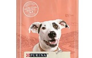 Purina DOG CHOW Sensitive Adult 14 kg Lohi Purin