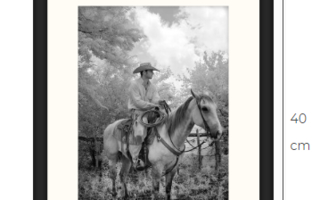 Cowboy ja hevonen taidevalokuvataulu kehystettynä