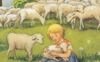Elsa Beskow: Tyttö ja lampaat